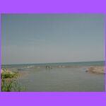 Children Swimming.jpg